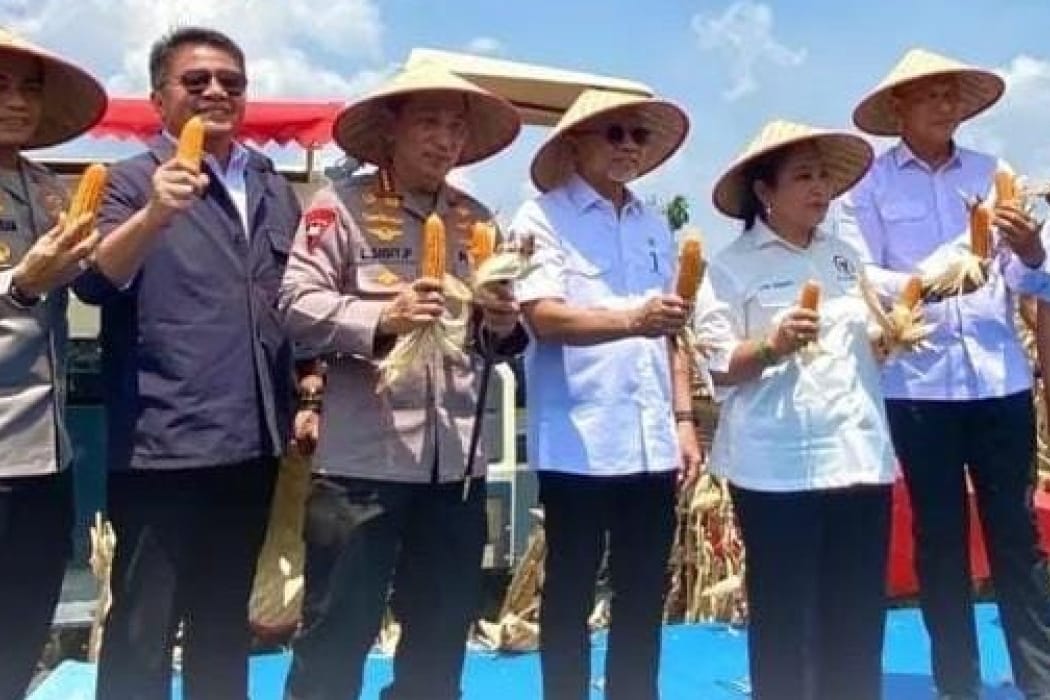 recent-project-img-1