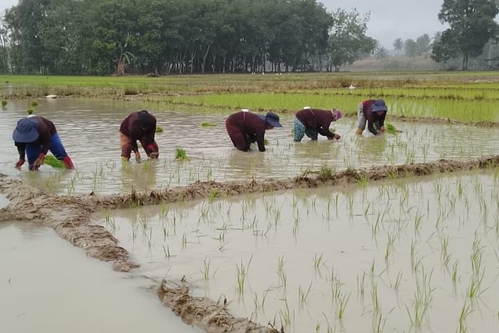 recent-project-img-1