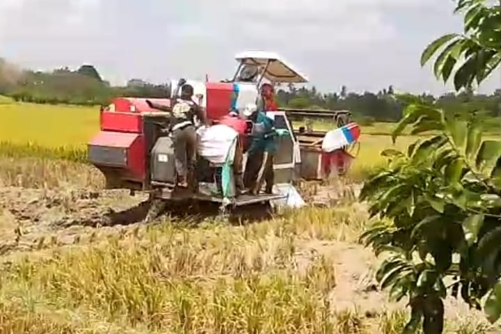 recent-project-img-1